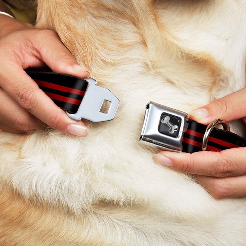 Dog Collar Seatbelt Buckle Stripe Black Red 16 to 23 Inches 1.5 Inch Wide