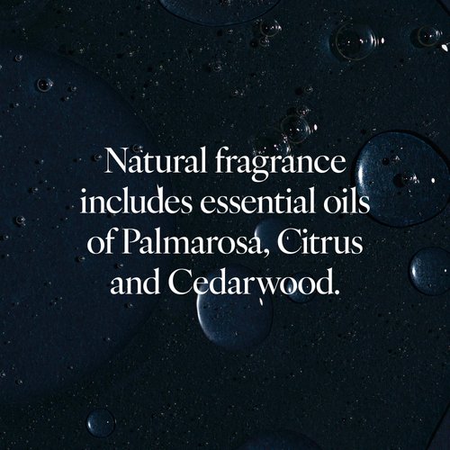 LATHER Desert Aloe & Agave Body Wash | Hydrating & Refreshing Skin Care | Paraben & Sulfate Free | Gentle Cleansing with Invigorating Scent | Suitable for All Skin Types | 12 oz