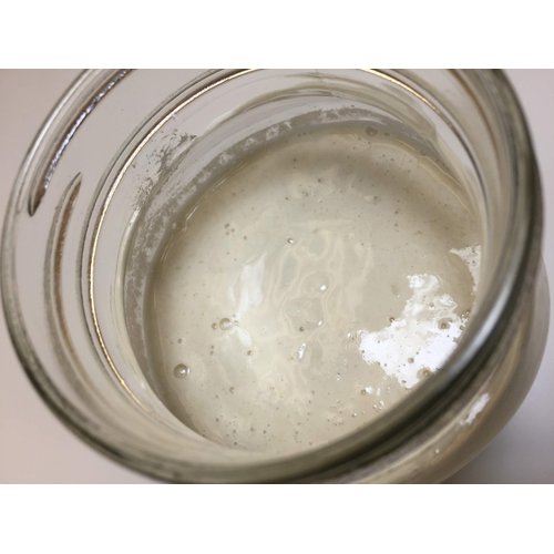 Gluten Free Sourdough Starter