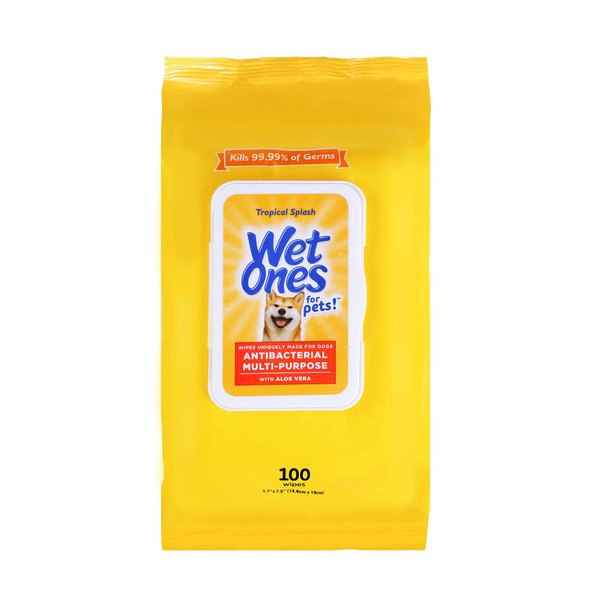 Wet Ones for Pets Multi-Purpose Dog Wipes with Aloe Vera Dog Wipes for All Dogs in Tropical Splash Wipes for Dog Paws & All Over Use 100 Ct Pouch Dog Wipes FF12843 100 Count