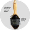 Sam Villa Signature Series Boar Bristle Hair Brush For Hair Styling