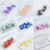 VNE 500 Fans Colorful Lash Extensions | Premade Volume Lash Extensions | Premade Mega Volume Fans | Colored Lash Extension | Russian Volume Eyelash Extensions |6D, purple, D Curl, 14 mm