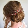 Bridal Crystal Hair Comb and Earrings Set Elegant Bride Wedding Hair Piece Accessories for Women Prom Party Photography (Wine Red)