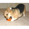 Starmark Everlasting Treat Bento Ball Tough Dog Chew Toy Medium