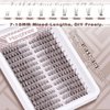 Brown Lash Clusters Wispy Eyelash Extensions Natural Look Individuals Lashes C Curl DIY Cluster Eyelashes 252 Pcs Left & Right Paired Dark Brown Cluster Lashes by Mavphnee