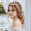 KICOSY 21st Birthday Crowns and Sashes for Women, Birthday Sash Princess Tiara Headband Elegant Rose Gold Crown with Combs for Girls Crystal Tiaras Birthday Headpieces for Party Hair Accessories Gifts