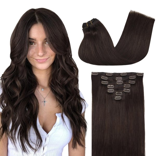 GOO GOO Clip in Hair Extensions Real Human Hair, 20inch 120g 7Pcs, 2C/4E/6C Brown Sugar Swirl Highlights, Remy Human Hair Extensions Clip ins for Women, Natural Human Hair