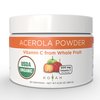 KOYAH - Organic Acerola Powder: Freeze-Dried, 100% Pure, 500 mg Natural Vitamin C per Scoop, Whole-Food, Non-GMO, Vegan, 60 Servings, Made from acerola Cherries Grown in Brazil