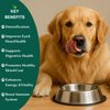 Chlorophyll for Dogs - Chlorella Tablets & Chlorophyll Pills - Natural Breath Freshener & Detox - Human-Grade Vegan Dog Greens with Chlorophyll, 200 Tablets