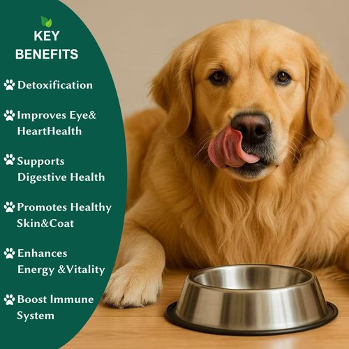 Chlorophyll for Dogs - Chlorella Tablets & Chlorophyll Pills - Natural Breath Freshener & Detox - Human-Grade Vegan Dog Greens with Chlorophyll, 200 Tablets