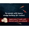 KoiWorx Muck Reducer, 145 Tablets Treats up to 6,000 Gallons of Water, Beneficial Bacteria Reduces Muck, Sludge and Organic Build up, Formulated for Ponds, Water Features and Safe for Koi