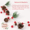 Luditek Christmas Garland with Lights, Red Berry Pine Cone 6.5FT 20 LED Garland Lights Battery Operated, led Garland String Lights, Christmas Decorations Indoor for Home Fireplace Mantel Xmas Decor