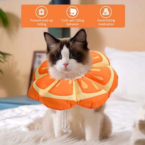 Avont Cat Cone Collar Soft, Adjustable Recovery E Collar Alternative for Cats Kittens Puppies, Elizabethan Neck Cone of Shame to Prevent Licking Biting After Surgery Protect Wounds -Tangerine(S)