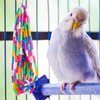 Neeenn Bird Chewing Toys, Colorful Plastic Parrot Chew Toys with Bell, Bird Cage Accessories, Cage Toys for Small to Medium Birds Parakeets Parrots Cockatiels Budgies Lovebirds Conures