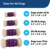 PetSafe Busy Buddy Nobbly Nubbly Treat Holding Dog Toy – Strong Chewers – Challenging - Treat Rings Included - Small, multi color