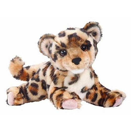 Spatter Leopard Cub