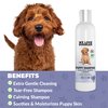 We Love Doodles Puppy Shampoo & Conditioner | Made in USA | Organic Ingredients | Tear Free | Best Shampoo for Puppies | Sensitive & Itchy Skin Wash | Oatmeal Bathing | Veterinary Formula | Tearless