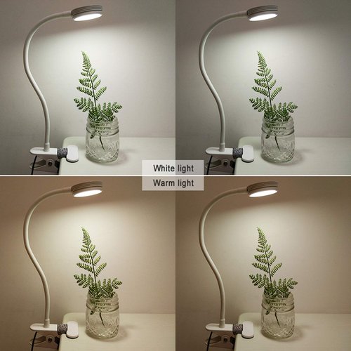 LEPOWER Clip on Light/Book Light/Reading Light with 2 Color Changeable/Night Light Clip on for Desk, Bed Headboard and Computers (White)