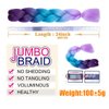 YUDAOHAIR Braiding Hair Extensions for Women High Temperature Synthetic Ombre Jumbo Braids Hair for Twist Crochet Braiding Hair (24 Inch, blue-light blue-yellow green-pink-peach red)