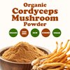 Food to Live Organic Cordyceps Mushroom Powder, 8 Ounces - Boost Energy, Immunity and Endurance, 100% Pure, Vegan, Non-GMO, Natural Superfood, Kosher, Bulk