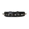 Derby Dog Designer Series USA Leather Spikes and Diamond Padded Dog Collar, 12"
