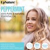UpNature Peppermint Essential Oil Roll On - Relieves Head Tension, Pregnancy Essentials, Reduces Stress & Soothes Aches- Premium Quality, Therapeutic Grade Aromatherapy Oil