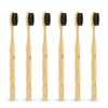 Virgin Forest Bamboo Toothbrush, Vegan Natural ECO Friendly Wood Toothbrushes, Biodegradable Organic Charcoal Tooth Brush, Pack of 6