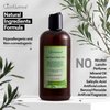 Just Nutritive Acne Clear Face and Body Wash | Adult Acne Treatment | Acne Face Wash | Face Skin Care | Back Acne Treatment | Acne Cleansers 16 Oz