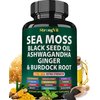 Sea Moss Black Seed Oil Ashwagandha Ginger, Organic Sea Moss Capsules with Burdock Root, Irish Seamoss Pills with Bladderwrack, Turmeric, Shilajit, Multimineral Supplement, USA (120 Capsules)