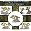 Novelsite Fish Tank Decor- Bonsai Trees with Faux Moss- Aquarium Rocks Aquascaping- Made of Sandstone, Goldfish Betta Fish Tank Decorations Hides Accessories