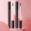 BINGBRUSH 2 Pcs Moisturizing and Silky Velvet Lipgloss Set, Matte Longwear Waterproof Smooth Lipstick for Makeup Collection - Nourishing Lipstick Lipgloss Lip Stain (set02)