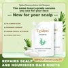 Tgideas Rosemary Biotin Amino Acid Shampoo, Hair Growth Shampoo for Women and Men, Thinning Hair Loss Natural 8.45 fl oz, Two-Pieces