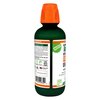 TheraBreath Fresh Breath Oral Rinse, Rainforest Mint, 16 Ounce Bottle