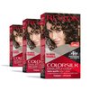 Revlon ColorSilk Beautiful Color Permanent Hair Color, Long-Lasting High-Definition Color, Shine & Silky Softness with 100% Gray Coverage, Ammonia Free, 30 Dark Brown, 3 Pack