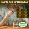 Liposomal Liquid NAC Drops, NAC Supplement N-Acetyl Cysteine, NAC 600 mg with Milk Thistle & Quercetin for Adults & Kids, Liver & Lung Support, Immune & Antioxidant, Skin & Cellular Health, 2 Fl Oz