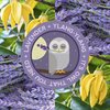 SodaWax™ Natural Deodorant NIGHT OWL (3.3oz/93g) Any 3 Items SHIP FREE