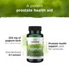 Swanson Pygeum - 100 Capsules, 125 mg Each - Herbal Supplement for Male Prostate Health, Bladder, and Urinary Tract Support