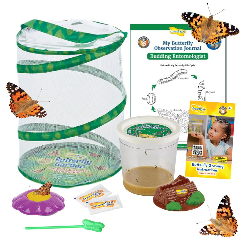 Insect Lore Butterfly Garden | Butterfly Kit with Live Caterpillars | 5 ...