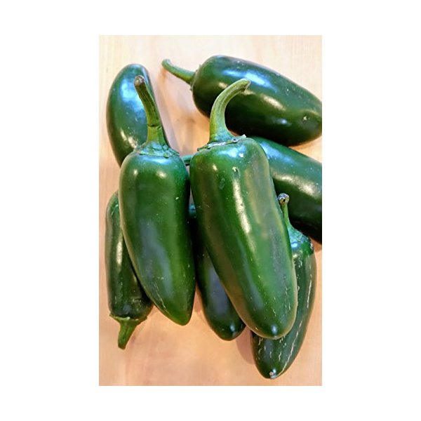 Fresh Jalapenos Chili Peppers 2 lbs.