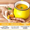 Tipson Organic Turmeric Variety Sampler - 6 Flavors (60 Tea Bags), Herbal Tea Infusions - USDA Organic, Non GMO, and Gluten Free