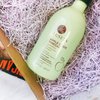 Luseta Apple Cider Vinegar Shampoo for Damaged and Oily Hair -Infused with Pyrus Malus for Clarify & Stimulation, Sulfate Free Paraben Free 16.9oz