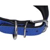 Dogs My Love Real Leather Extra Wide Padded Tapered Dog Collar (16.25"-18.75" Neck; 3" Wide, Blue)
