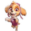 Skye and Everest 5th Birthday Party Supplies Girl Paw Pups on Patrol Balloon Bouquet Decorations 12ct