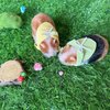 VOLOBE 5 Inches Silicone Hamster, Realistic Toy Hamster as Silicone Piglet Companion with Sleeping Pad Accessories for Kids Boy Girl Birthday Collection Handmade Gift (Brown Hamster)
