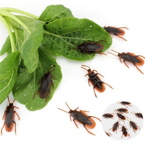Wendy Mall 20Pcs Realistic Simulation Plastic Fake Cockroach Roach Novelty Bugs Joke Toys for April Fool's Day Halloween Party Favors Decoration Props