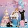 Cat Birthday Party Decorations Kitten Hanging Swirls, Assembled and Ready to Use, Pet Cat Meow Party Decor Supplies 24pcs Puppy Party Streamers Cat Paw Party Decor Banner