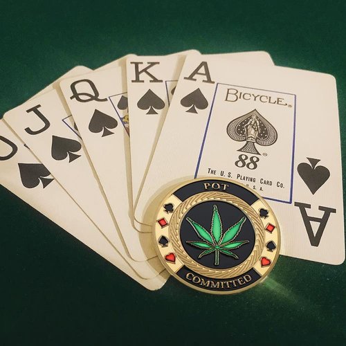 SW Poker Card-Guard Coin Collectibles Table Games Poker Card-Guard Protector Golden Coin Chip w/Plastic Case, Poker Chips Coin, A Great Coin Collecting Gifts for Husband, Father, Friends