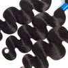 Cranberry Hair Unprocessed Virgin Hair Body Wave Brazilian Hair 12 inch One Bundle 100% Unprocessed Human Hair Extensions Nature Black Color 100G (One Bundle)