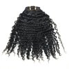 Luwigs Afro Kinky Curly 3B 3C Clip in Hair Extensions for Black Women Real Brazilian Virgin Human Hair Clip Ins Natural Color 7pcs/set (14 inches, 3B 3C Afro Kinky Curly)