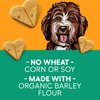 Newman's Own Dog Biscuits - Peanut Butter | Value Size | Made with Organic Barley | No Wheat, Corn, or Soy | 28 oz Bag